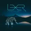 Lexer - Disrupted Signals