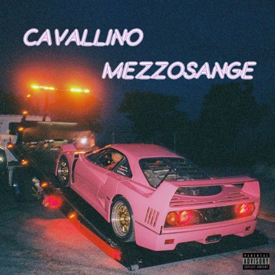 Cavallino Mezzosange - Single