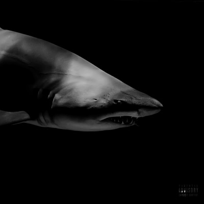 Shark Freestyle (feat. Lil Van) - Single