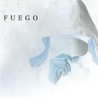 JE NE SAIS PLUS QUOI DIRE - Single - TZY