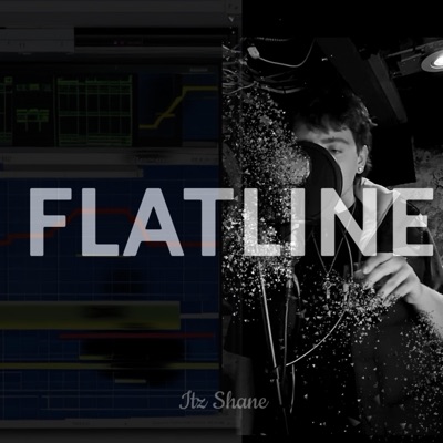Flatline - Single
