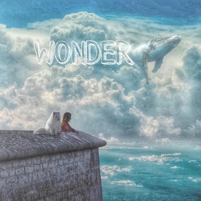 Wonder - Single