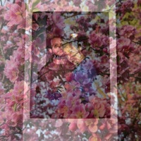 Polaroid - Single - Soft Static