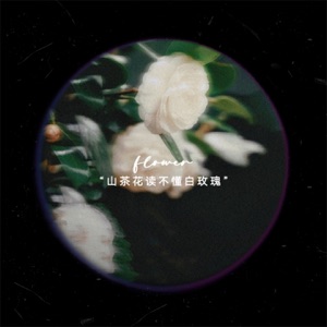 山茶花读不懂白玫瑰 - Single