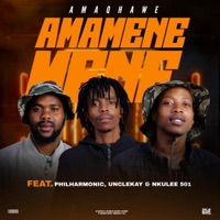 Amamenemene (feat. Philharmonic, UncleKay & Nkulee501) - Single - AmaQhawe_sa