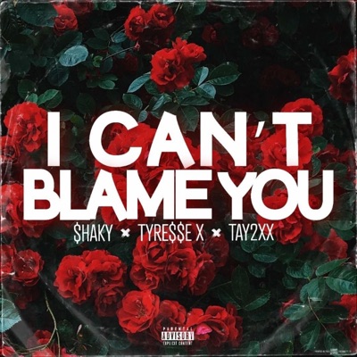 I Cant Blame You (feat. Tyre$$e x & Tayy2XX) - Single