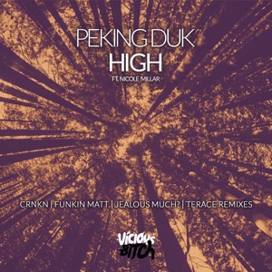 High (feat. Nicole Millar) [Jealous Much? Remix]