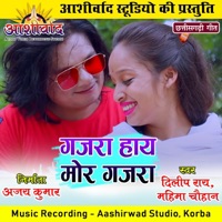 Gajra Hay Mor Gajra (Chhattisgarhi Geet) - Single - DILIP RAY & MAHIMA CHAUHAN