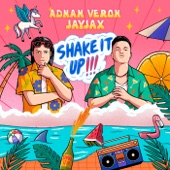 Shake It Up artwork