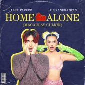 Home Alone (Macaulay Culkin) artwork