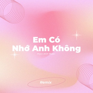 Em Có Nhớ Anh Không (Remix)
