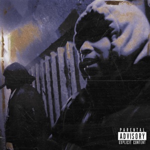 Back To Mecca II