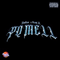 Pqmell - Single - Darian & Rool X