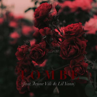 Tombé (feat. Jeune Vili & Lil Yann) - Single