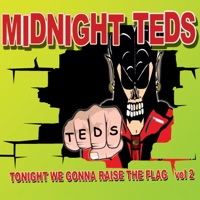 Midnight Teds - Big Fat Mama (Banjoversion)