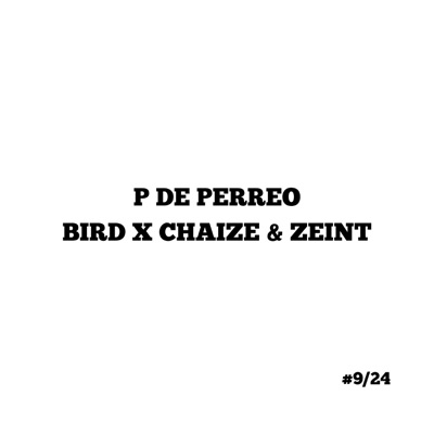 P DE PERREO (feat. CHAIZE & ZEINT) - Single