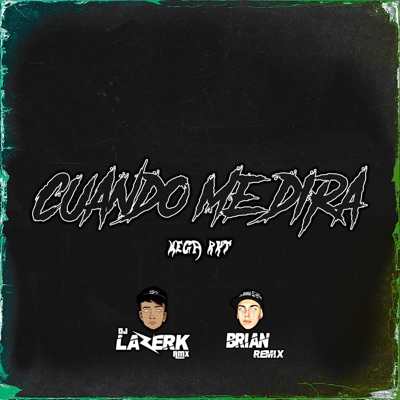 Cuando me Dirá (Mega Rkt) (feat. Brian Remix) - Single