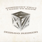 Somebody That I Used To Know (Xirgo Remix) artwork