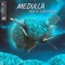 Medulla - Kay Keyz lyrics