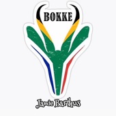 Bokke artwork