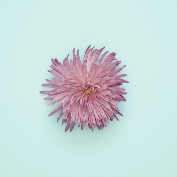 Track for Tomorrow - Single