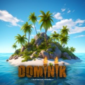 DOMİNİK artwork