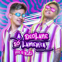 A Deolane Só Lamenta - Single - Pet & Bobii & DJ PBEATS