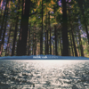 Little Things Left Behind - Noble Oak