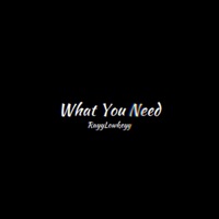 What You Need (EP) - RayyLowkeyy