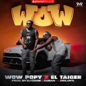 Wow (Prod. By DJ Cham, Cuban Deejays) artwork