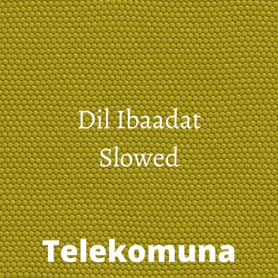 Telekomuna - Dil Ibaadat (slowed)