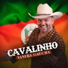 Cavalinho (Vanera Gaúcha) - Single