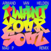 I Want Your Soul (Mau P Remix) - Armand Van Helden new Single