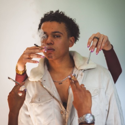 Hunde bellen Dogs bite - Single