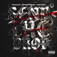 Send the Drop (feat. Noodah05 & Yung Sinn) - Single - BrownWizard