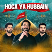 Hussain Akela Hai artwork