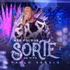 Paulo Sérgio - Não Foi por Sorte