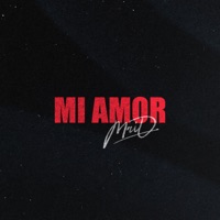 Mi amor - Single - MriD