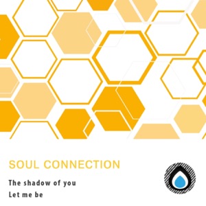 The shadow of you - Single
