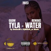 Tyla - Water (Gqom Remake) by DeelouW x DjMiitch_sa Music artwork