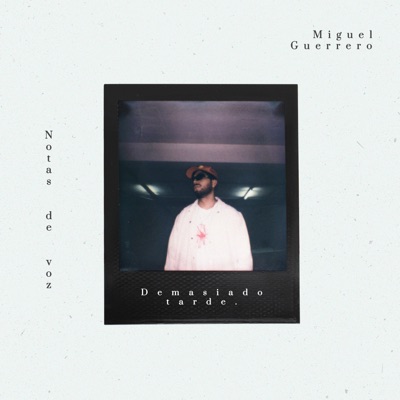 Demasiado Tarde - Single