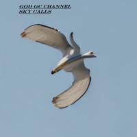 Sky Calls - Single - GOD GC CHANNEL