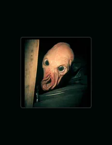 Beatkiller fax dinle, müzik videolarını izle, biyografisini oku, tur tarihlerini ve daha fazlasını gör!