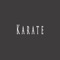 Karate (feat. Gravy Beats) - DIDKER lyrics