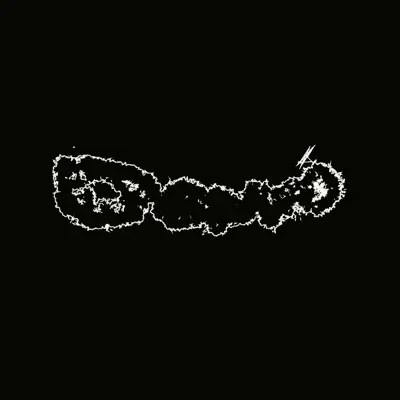 Listen to Swallowed by a Snake - EP by Phost
