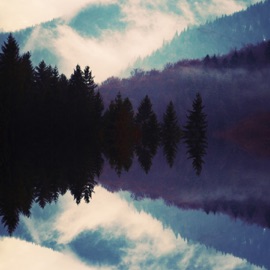 Don't Grow Up Blossom