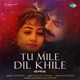 Tu Mile Dil Khile From Criminal Reprise Single