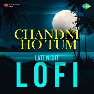 Panchhi Nadiyan Pawan Ke Jhonke (Lofi)