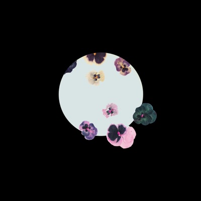 Committed/Xo - Single