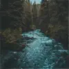 Tidal Creek